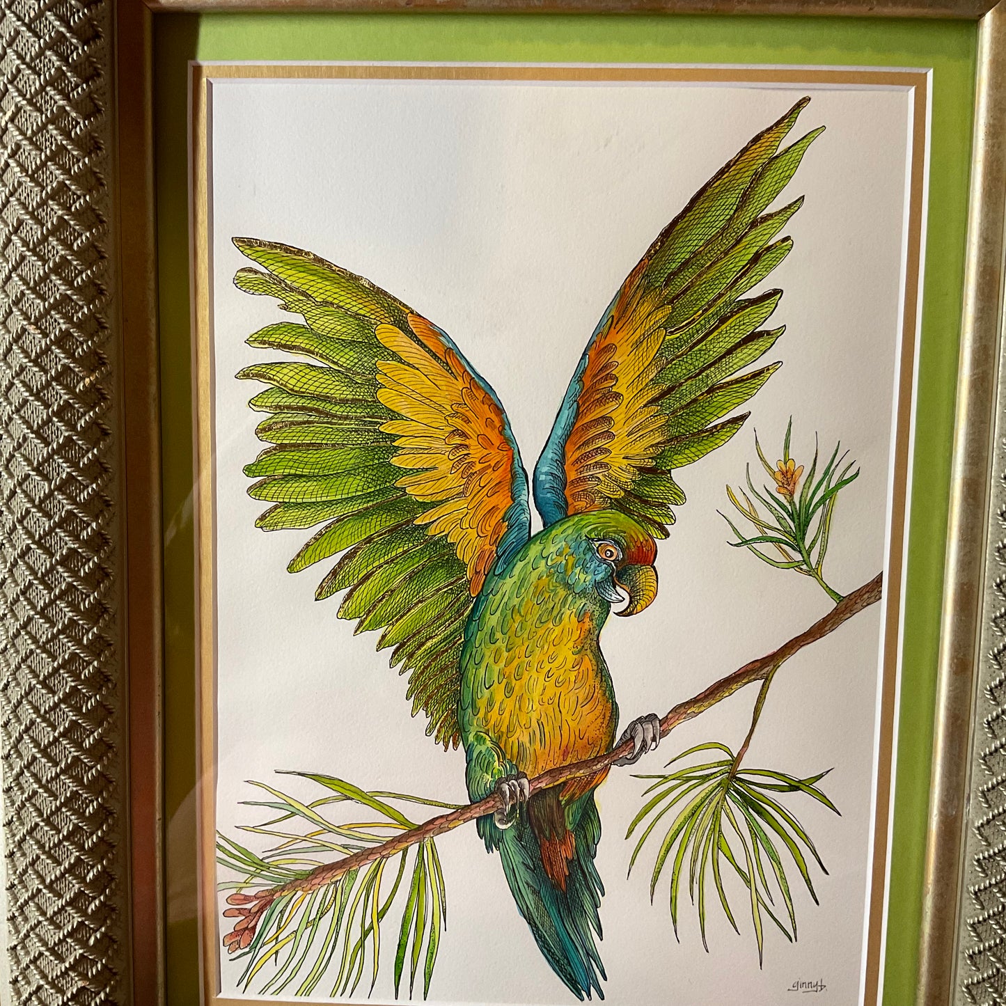 “Wings of Arrival” – Watercolor & Ink Parrot in Ornate Frame