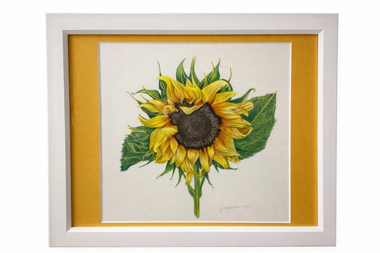 Sunlit Stillness - Color Pencil Drawing 16 x 20