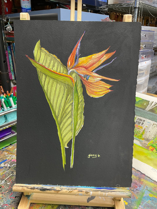 Paradise at Midnight - Watercolor Pen & Ink