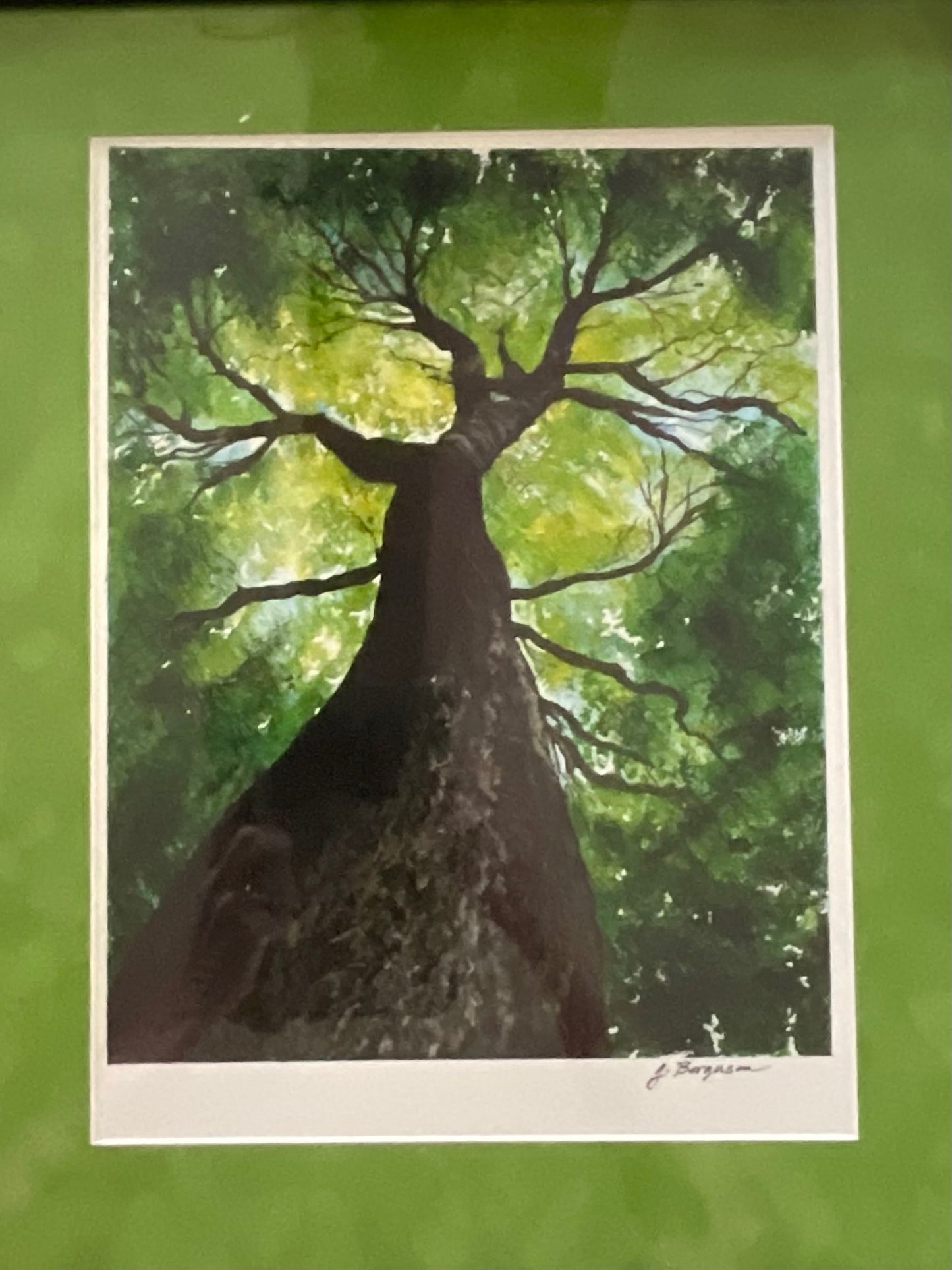 Reaching for the Light - Watercolor Painting