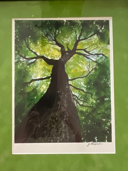 Reaching for the Light - Watercolor Painting