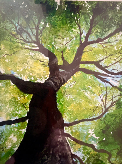 Reaching for the Light - Watercolor Painting