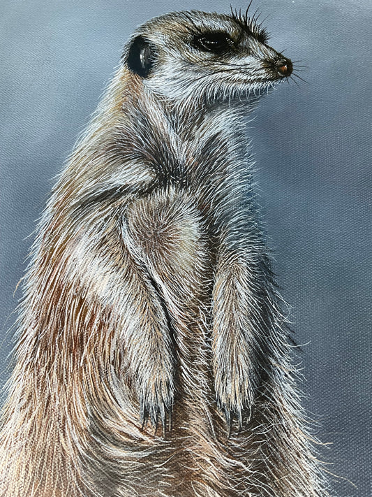 The Watcher – Acrylic Meerkat Painting on 16x20 Gallery Wrapped Canvas