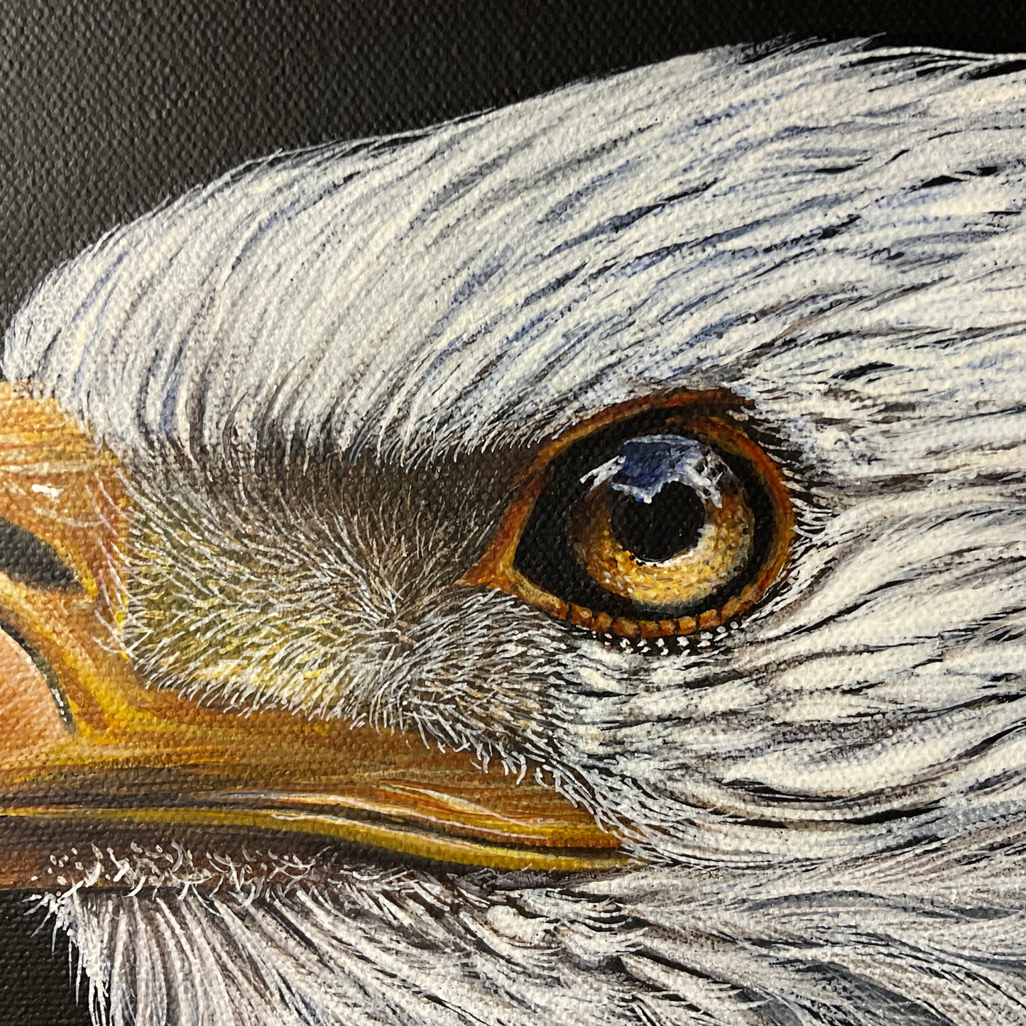 ’Merica – Bald Eagle Acrylic Painting | 11x14 Original Patriotic Art