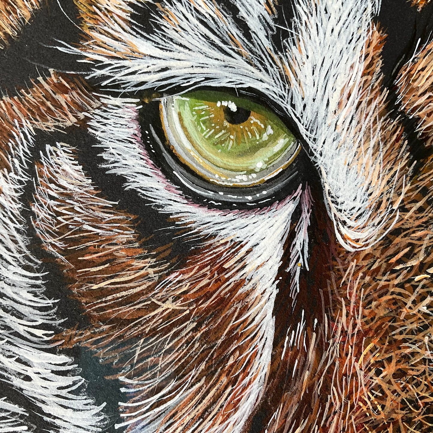 Tiger Eyes – Acrylic on Black Paper | Original Wildlife Painting