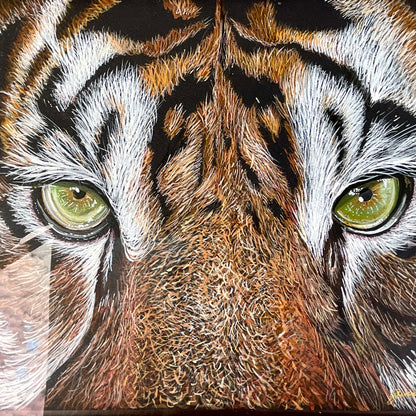 Tiger Eyes – Acrylic on Black Paper | Original Wildlife Painting