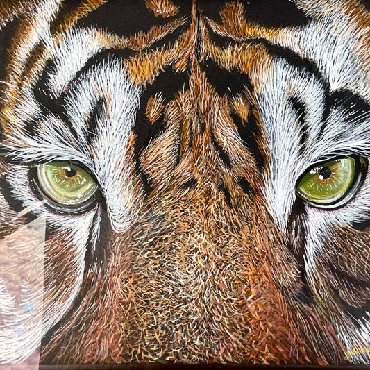 Tiger Eyes – Acrylic on Black Paper | Original Wildlife Painting