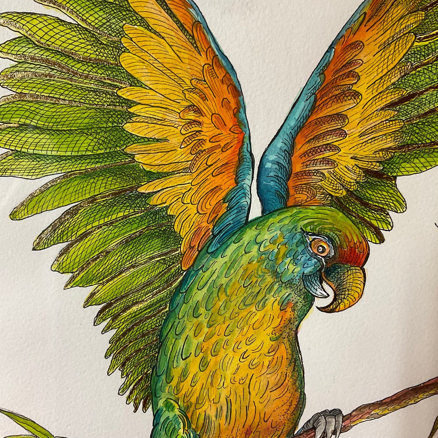 “Wings of Arrival” – Watercolor & Ink Parrot in Ornate Frame