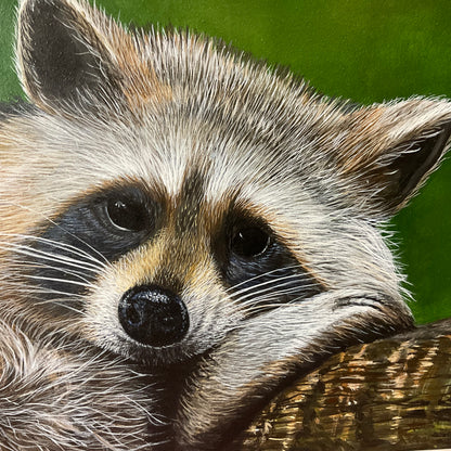Outlaw Takes a Break – Raccoon Acrylic Painting on 12x16 Board