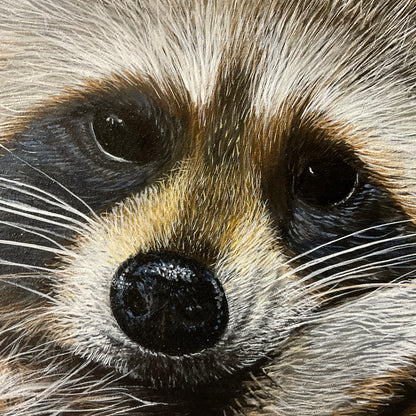 Outlaw Takes a Break – Raccoon Acrylic Painting on 12x16 Board