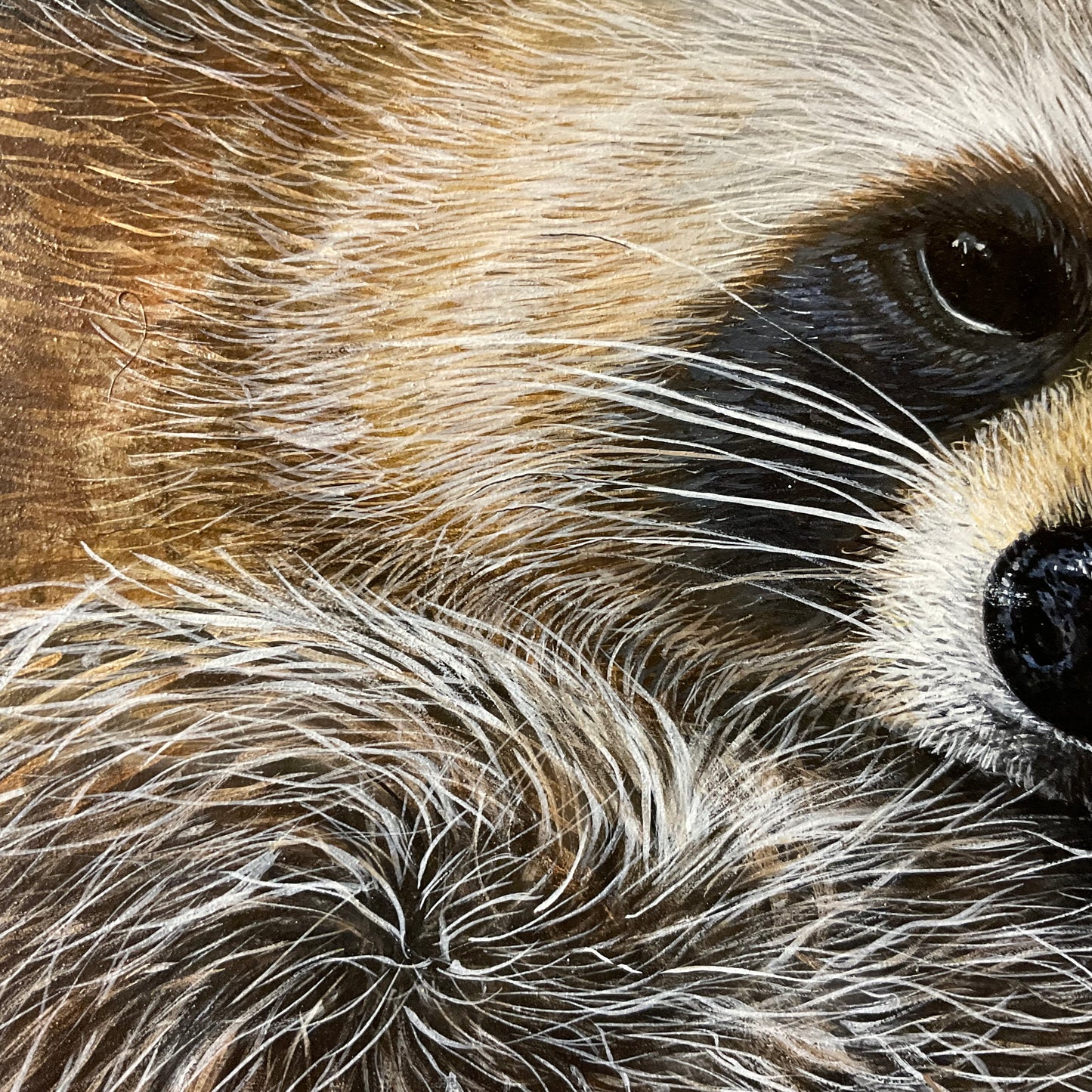 Outlaw Takes a Break – Raccoon Acrylic Painting on 12x16 Board