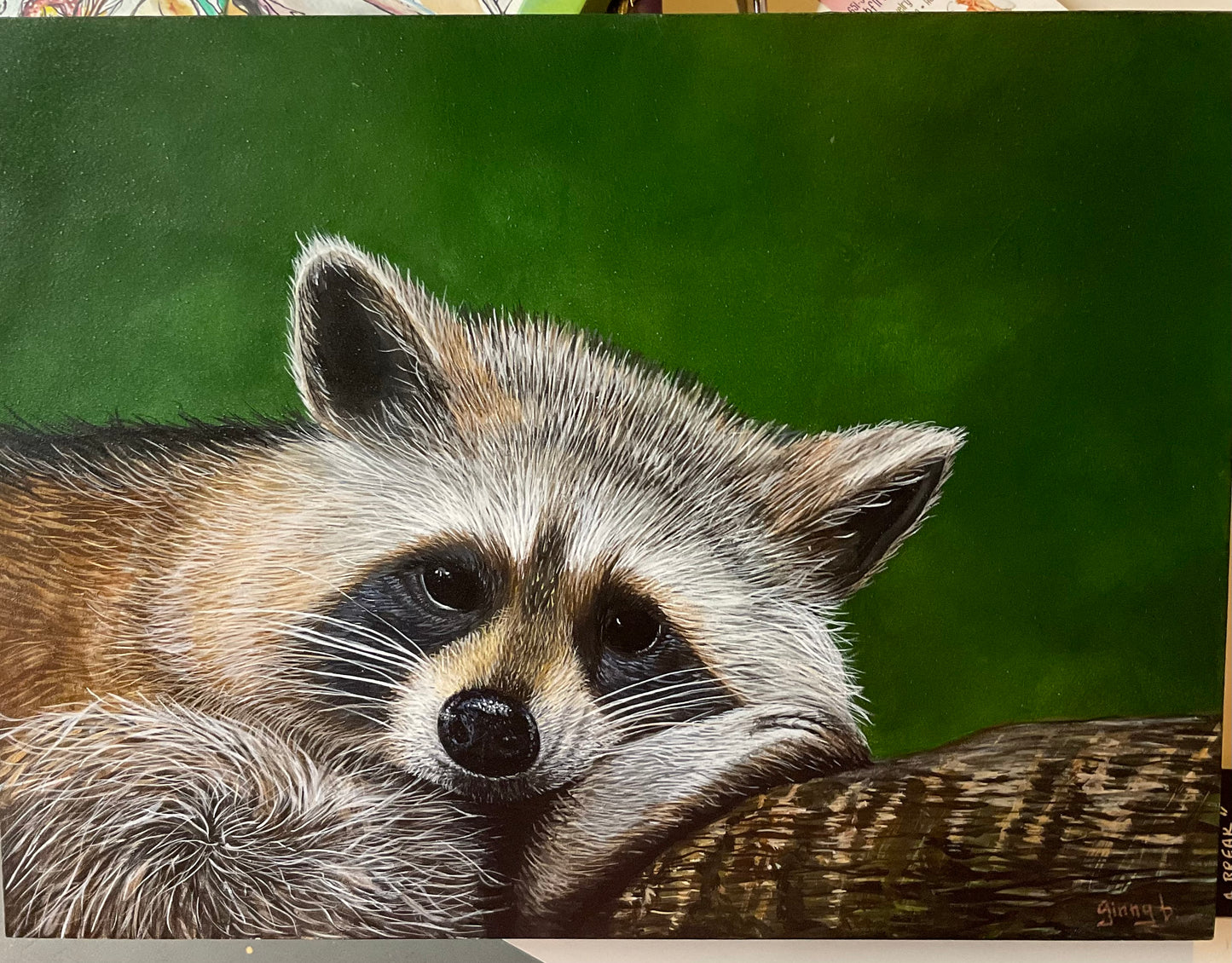 Outlaw Takes a Break – Raccoon Acrylic Painting on 12x16 Board