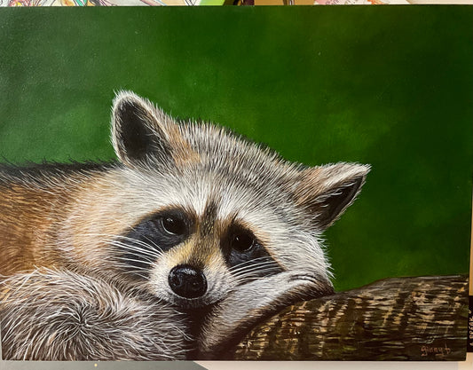 Outlaw Takes a Break – Raccoon Acrylic Painting on 12x16 Board