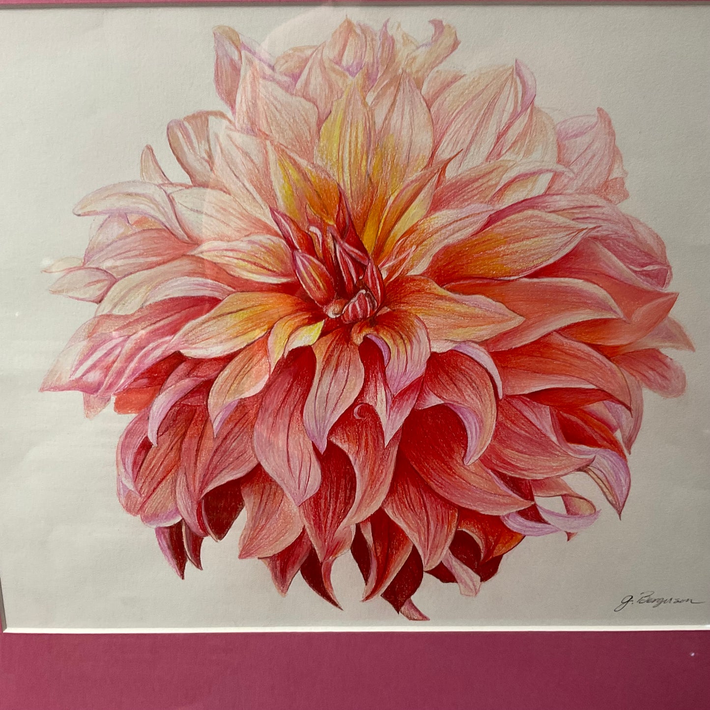 Whispering Dahlia - Color Pencil 20  x 24"